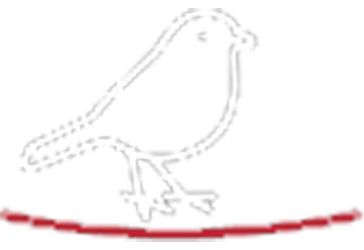 Red Robin Icon