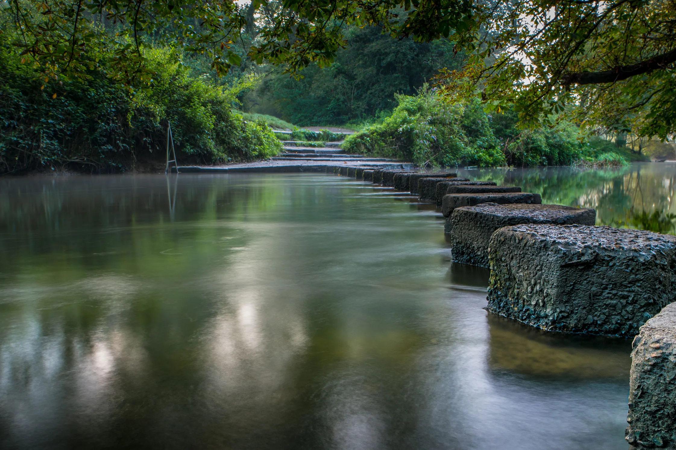 A body of water surrounded by trees and rocks.